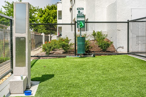 a yard in front of a building with a fence and green grass