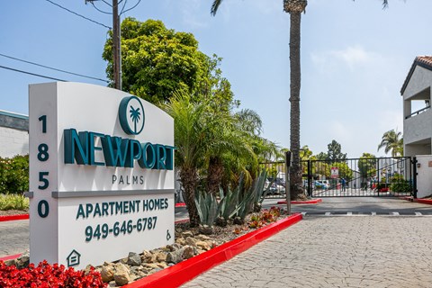 a sign homes in front of a road and palm trees