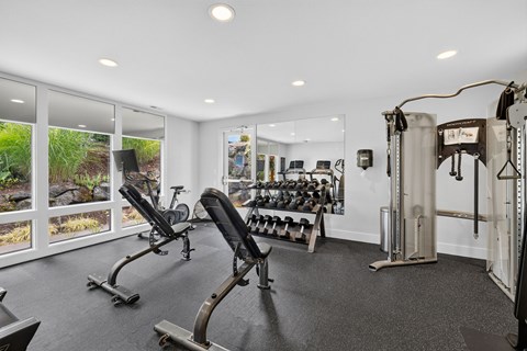 A gym with a row of treadmills and a row of dumbbells.