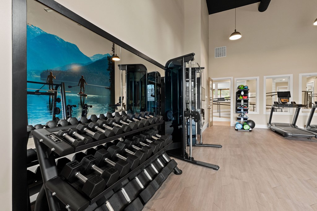 A gym with a row of dumbbells and a wall mural of a mountain scene.