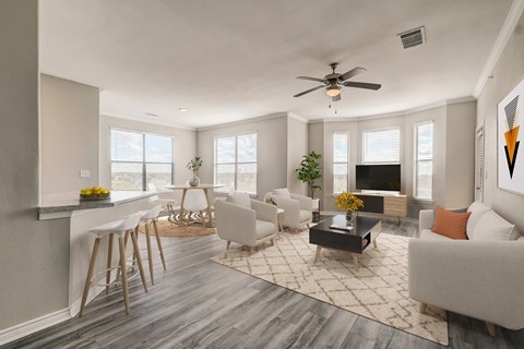 Bright living room with lots of natural light