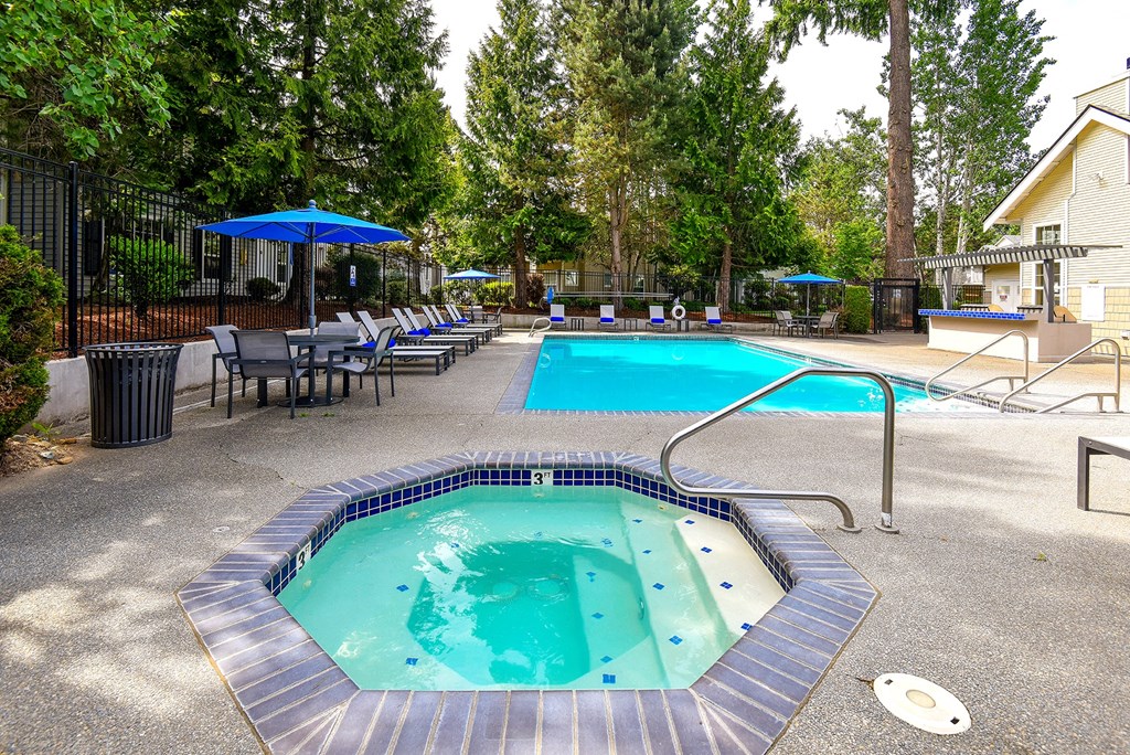 our apartments showcase a swimming pool