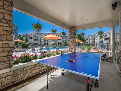 Ping pong table on pool deck