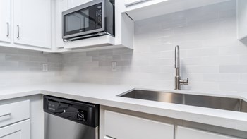Stainless Steel Appliances, Upgraded Renovations, Quartz Countertops, USB Outlets kitchen sink - Photo Gallery 4