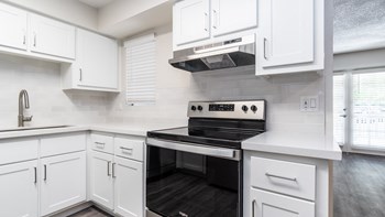 Stainless Steel Appliances, Upgraded Renovations, Quartz Countertops, USB Outlets kitchen remodel - Photo Gallery 2