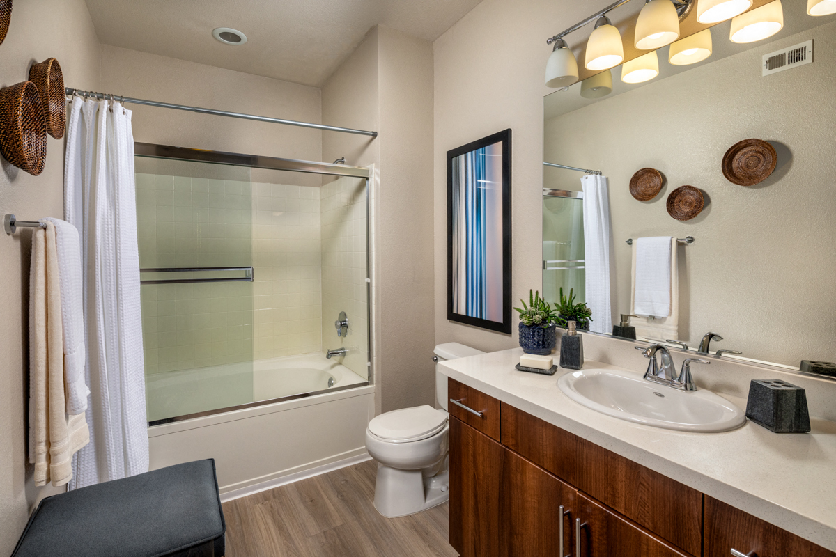 Avila at RSM One Bed Master Bath