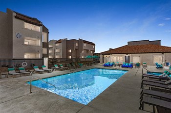 Outdoor Pool - Photo Gallery 33