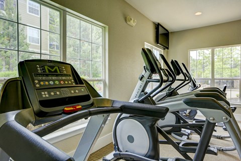 our apartments have a gym with a treadmill and a flat screen tv
