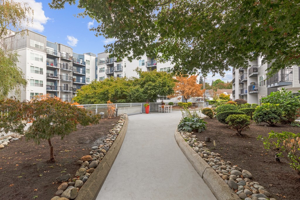 an empty park with trees and buildings in the background