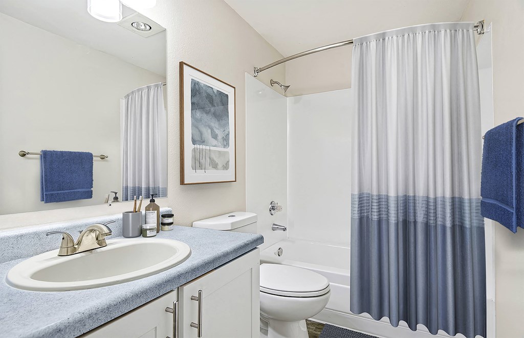 a bathroom with a shower and a sink and a toilet