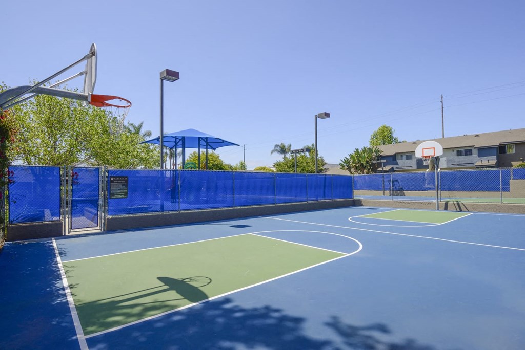 basketball court at the bradley braddock road station apartments