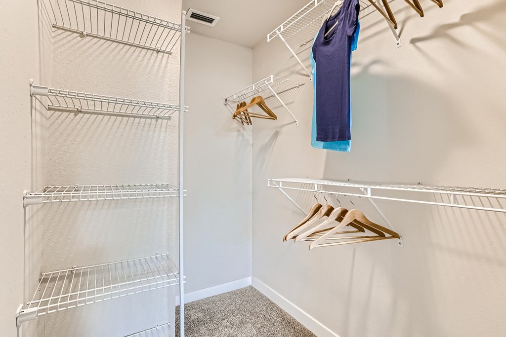 our apartments have a spacious walk in closet with plenty of room to move around