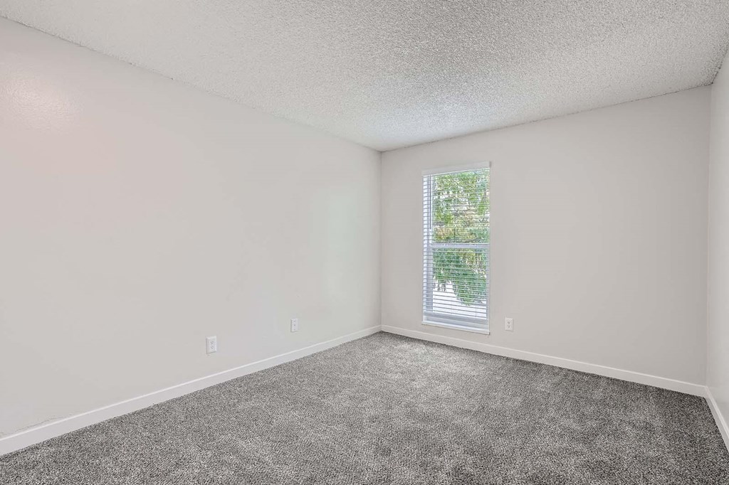 an empty room with a window and carpet