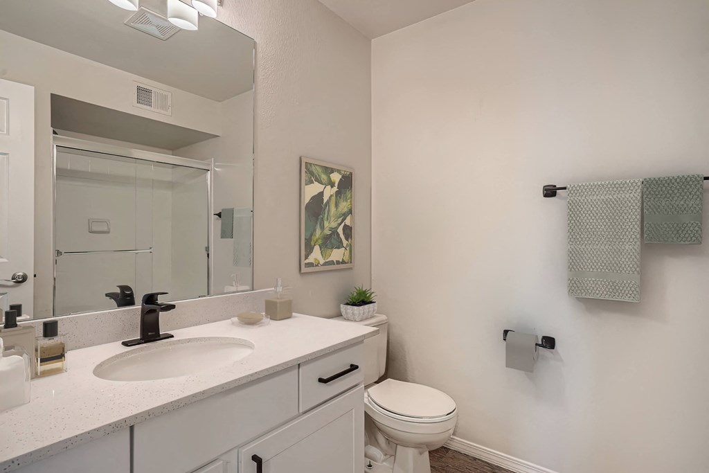 a bathroom with a sink and a toilet and a mirror