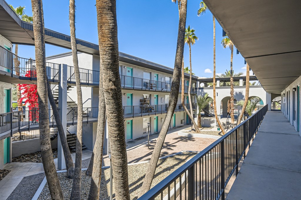 a view of a building with palm trees and a sidewalk
