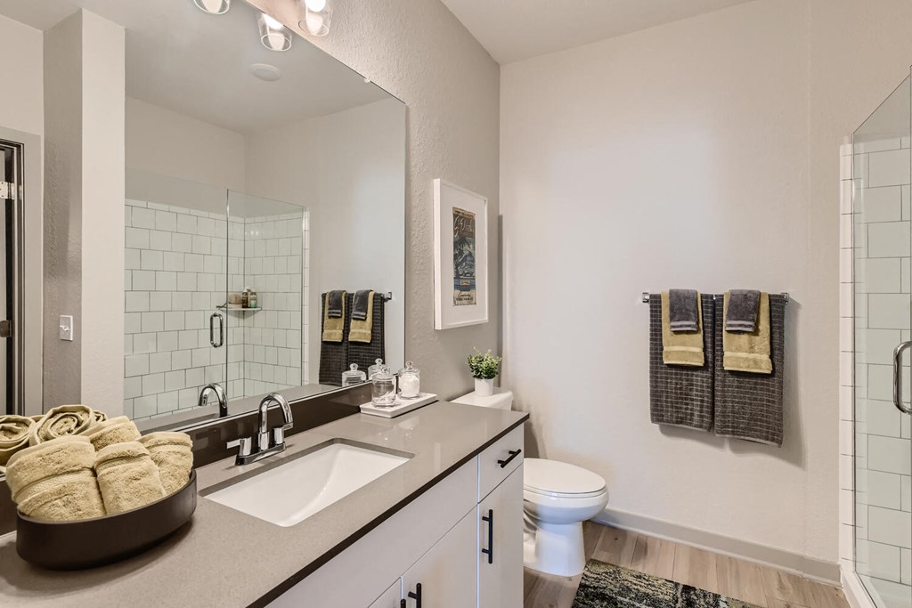 a bathroom with a sink and a toilet and a mirror