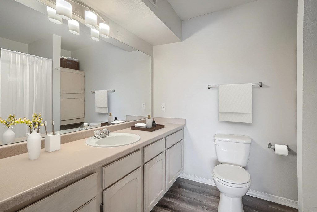 a bathroom with a toilet and a sink and a mirror