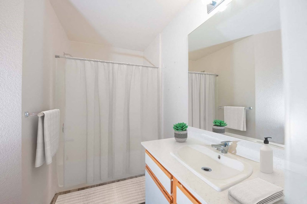 a bathroom with a sink and a shower