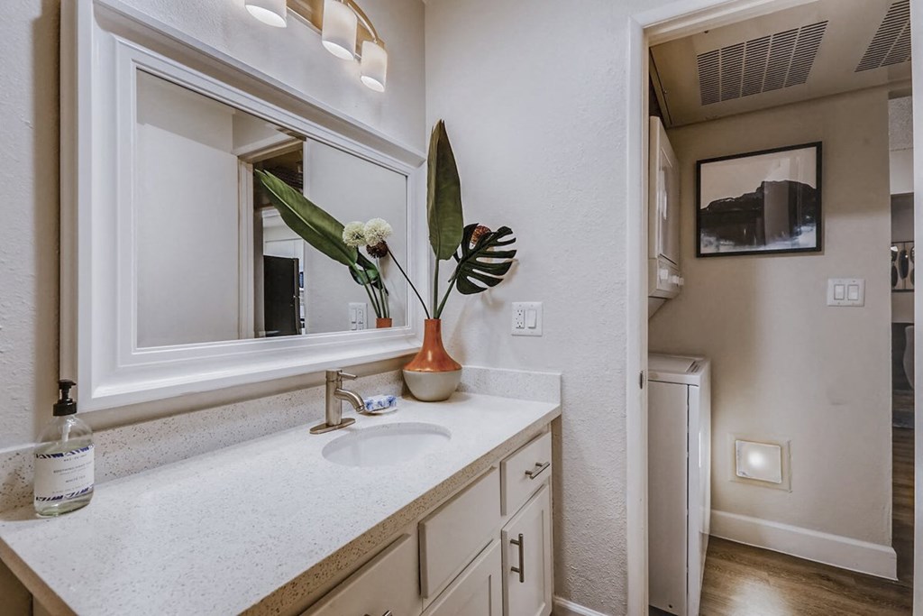 a bathroom with a sink and a mirror