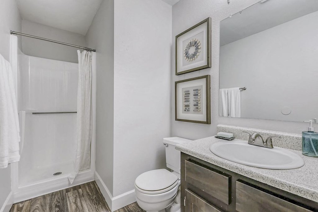 a bathroom with a sink and a toilet and a shower