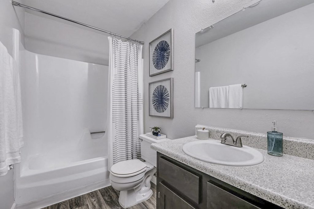 a bathroom with a sink and a toilet and a shower