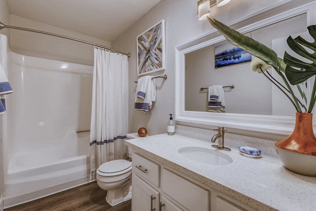 a bathroom with a sink and a toilet and a shower