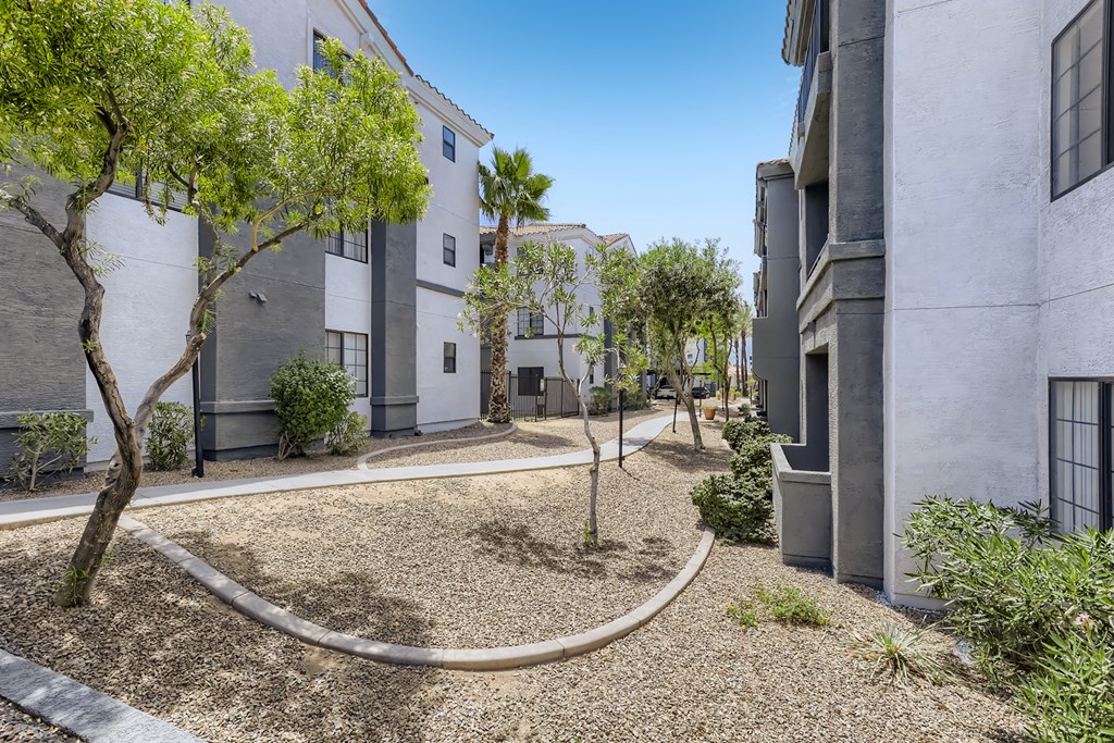 a courtyard between two buildings with trees and a hose on the ground