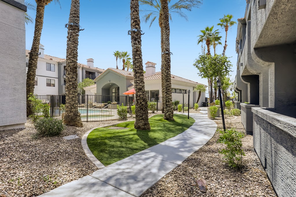 the enclave at homecoming terra vista walkway with palm trees