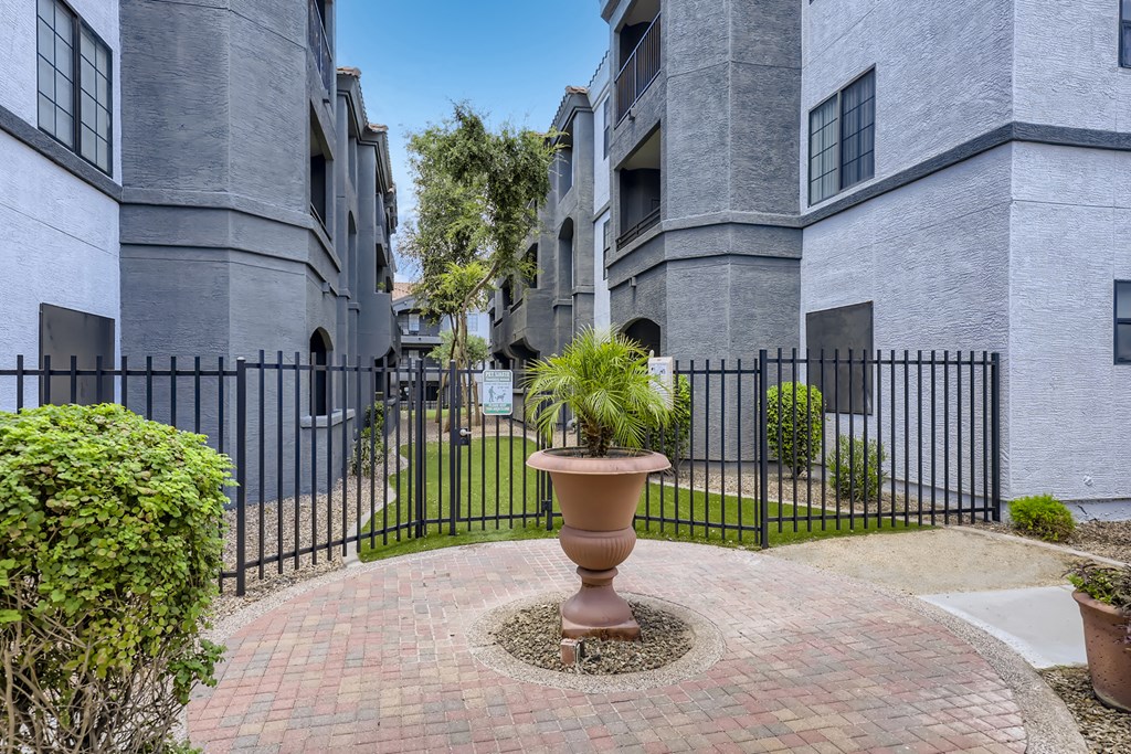 a potted plant in the center of a courtyard between two apartment buildings