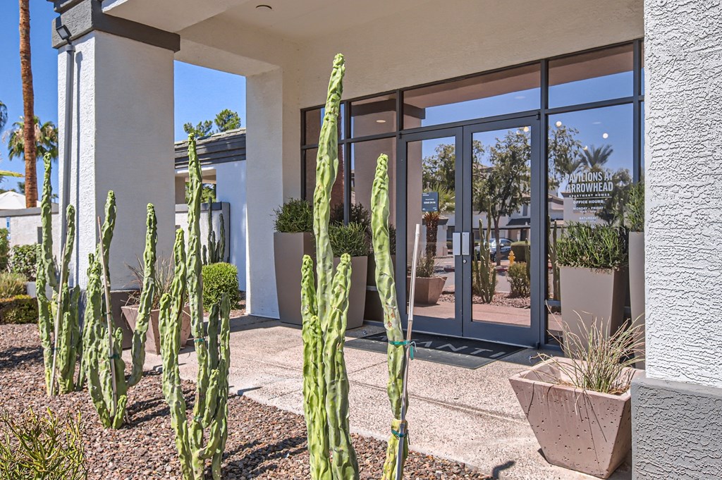 a patio with cactus in front of a building