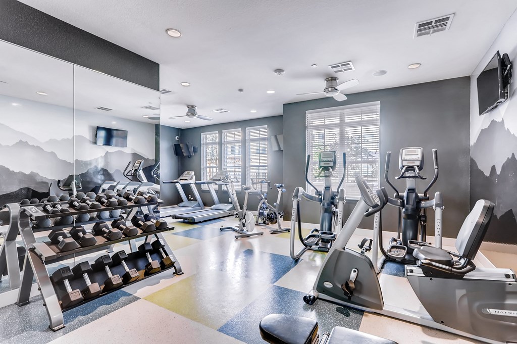 a gym with weights and mirrors and a mountain mural on the wall