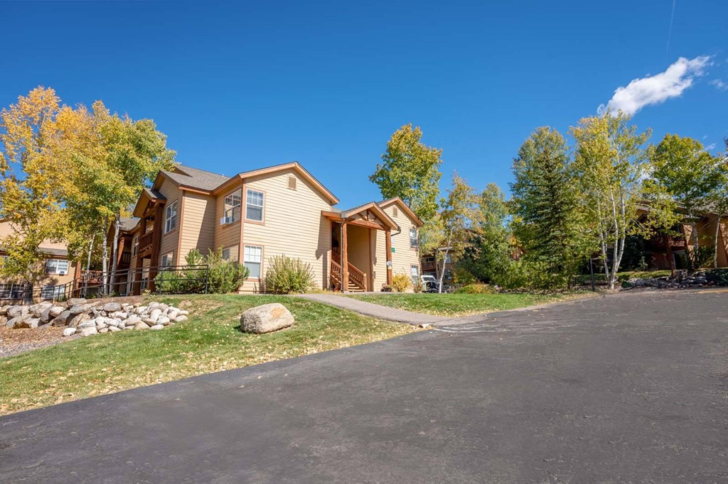 a house on the side of a road with trees