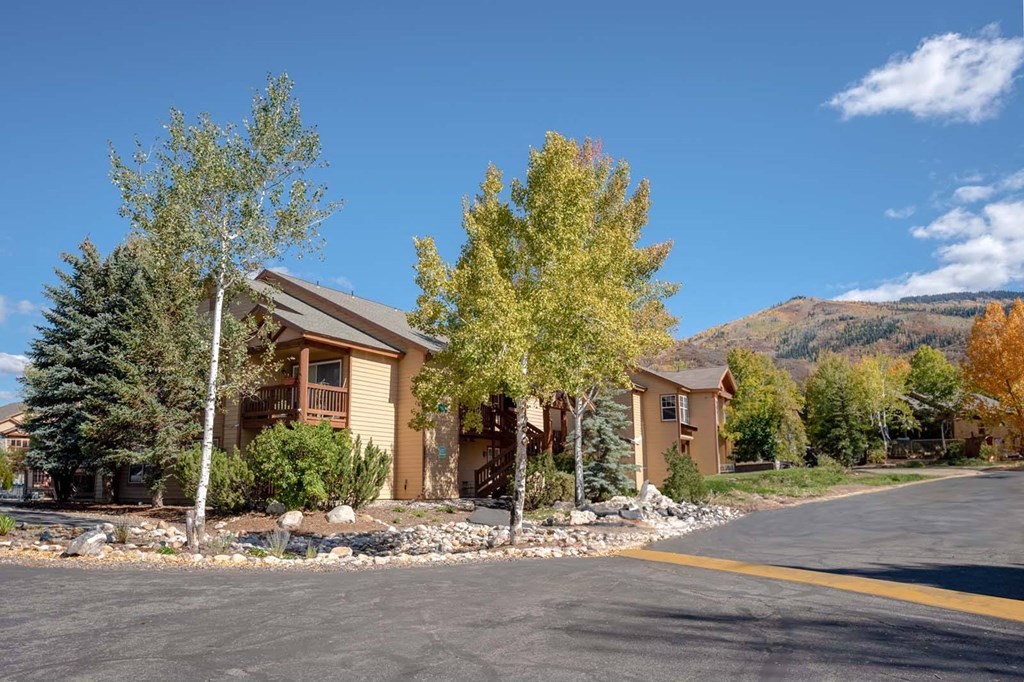 a house on the side of a road with trees