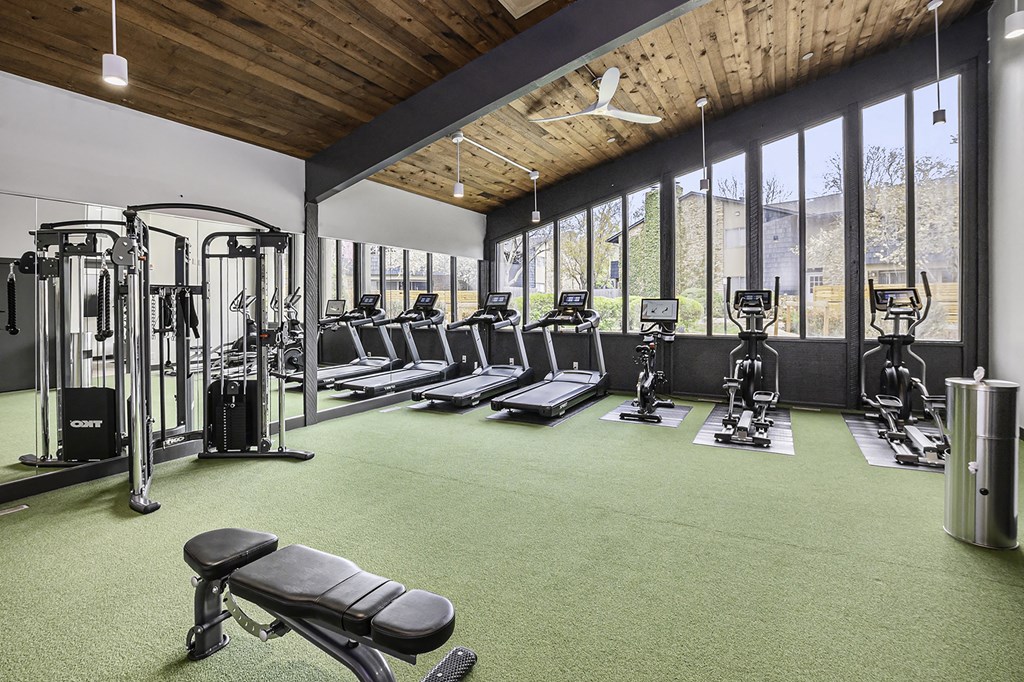 a gym with rows of cardio equipment and windows