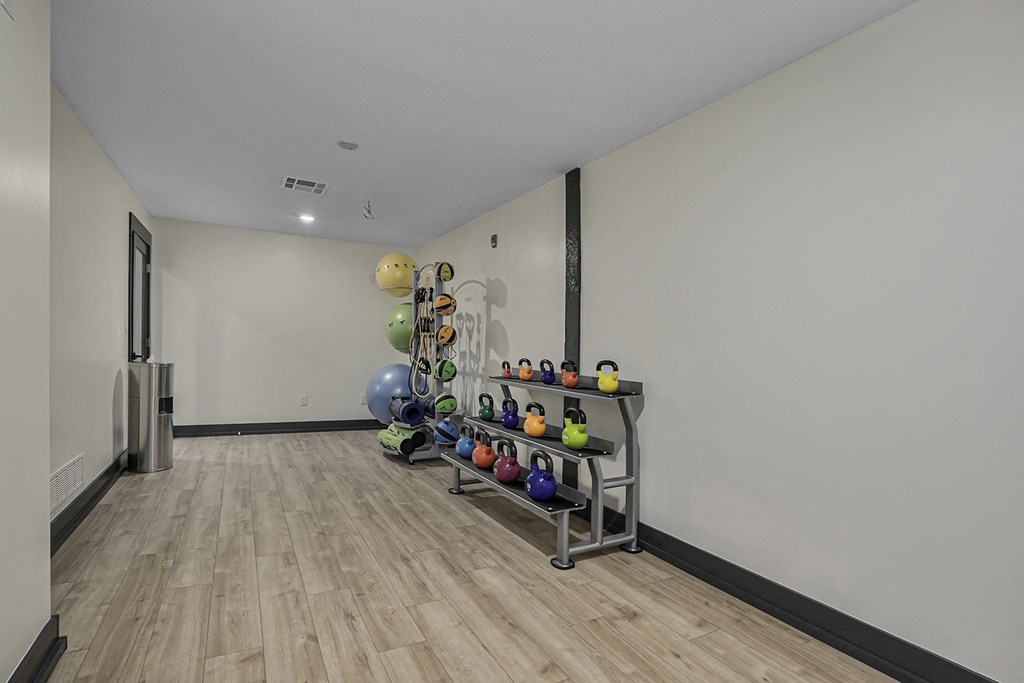 a fitness room with weights and a rack of balls on the wall
