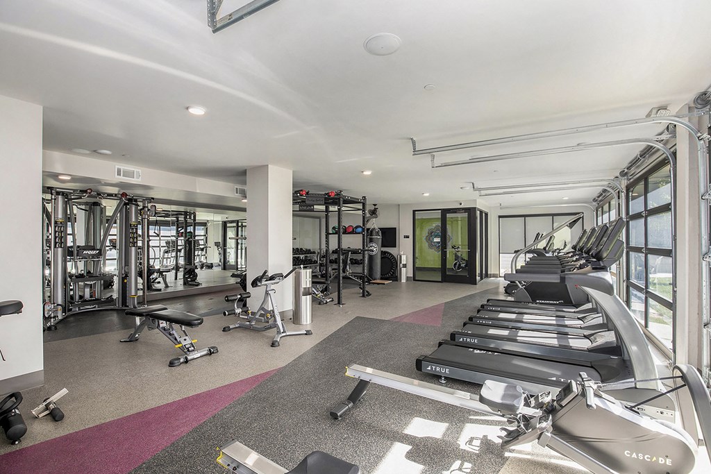 a gym with treadmills and weights in a building with windows