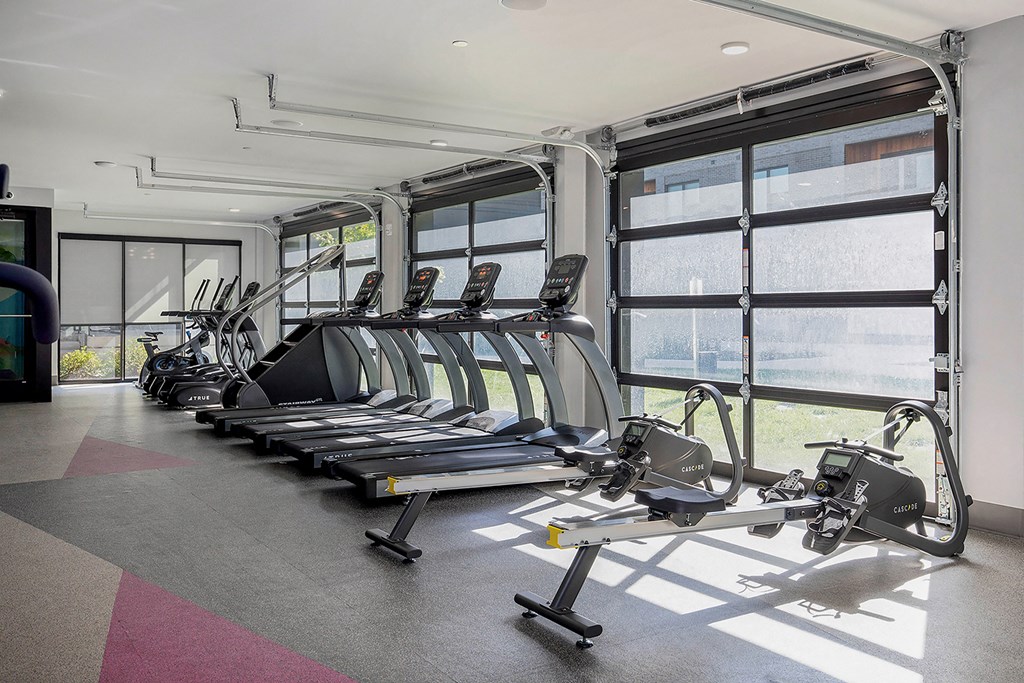 a row of treadmills in a workout room with windows