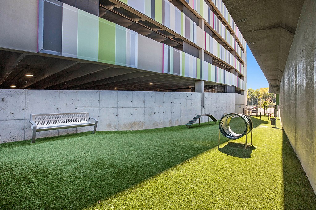 a yard with a bench and a mirror in front of a building