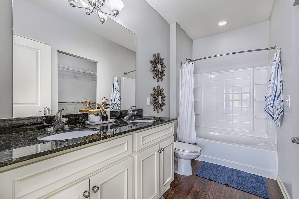 a bathroom with a sink and a toilet and a shower