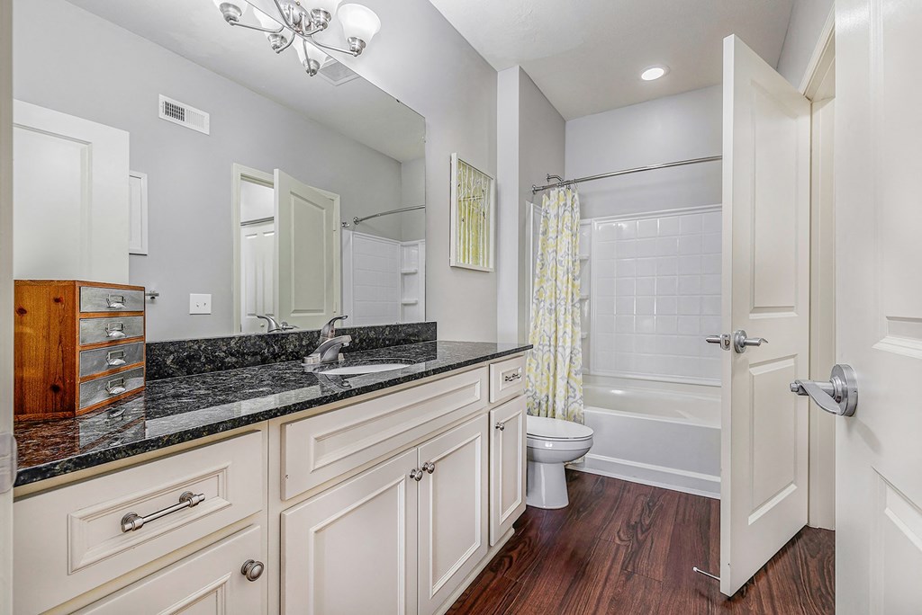 a bathroom with a sink and a toilet and a shower