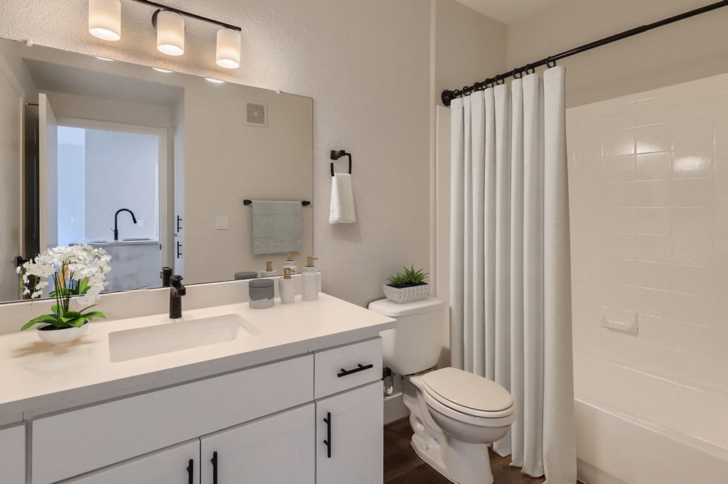 a bathroom with a white sink and toilet and a shower
