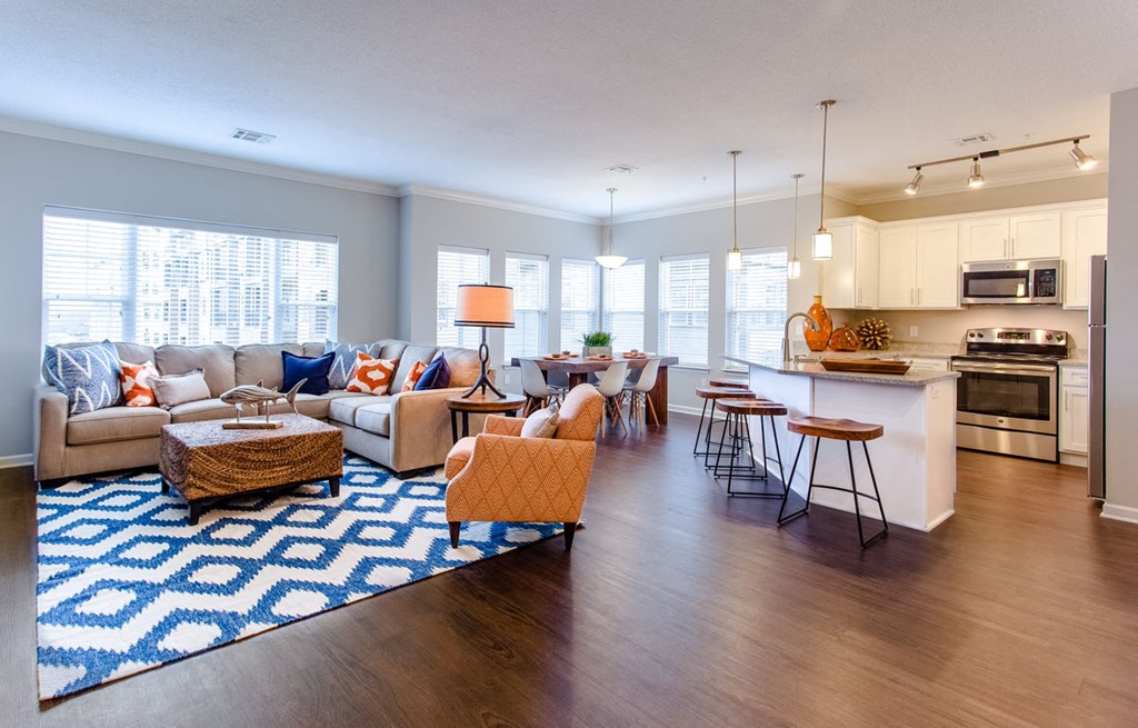 a living room and kitchen with a blue and white rug