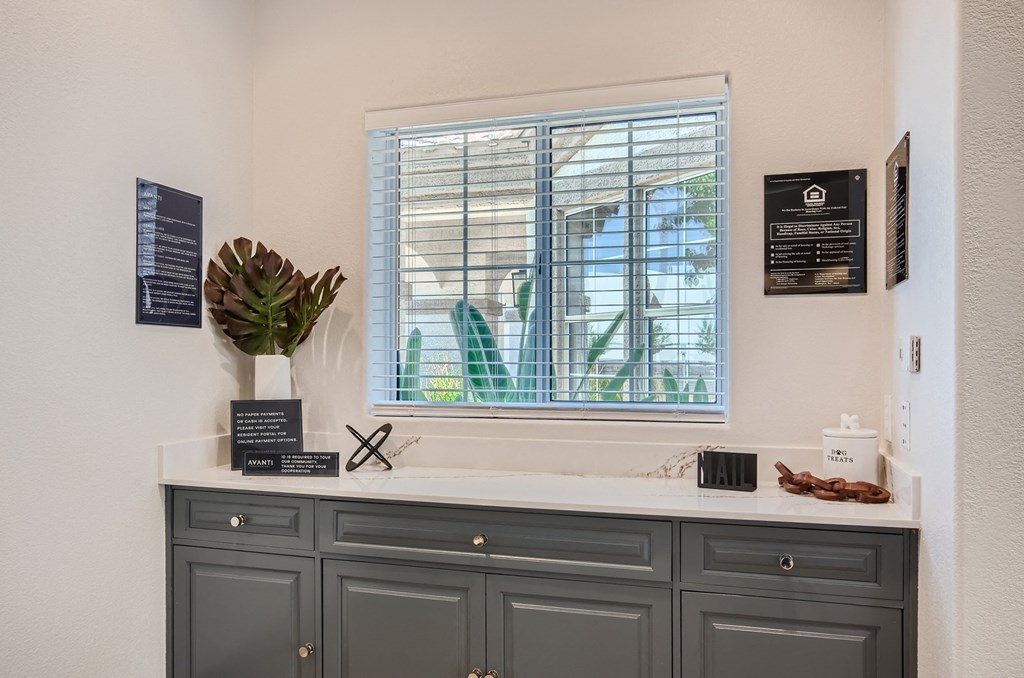 Springs At Alta Mesa