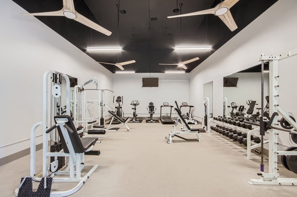 Springs At Alta Mesa