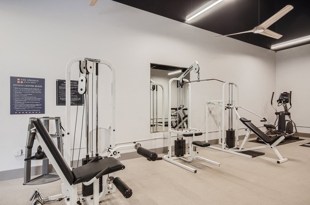 Springs At Alta Mesa