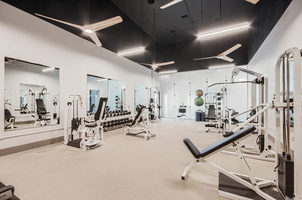 Springs At Alta Mesa