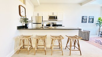66 State - Model Apartment - Photo Gallery 8