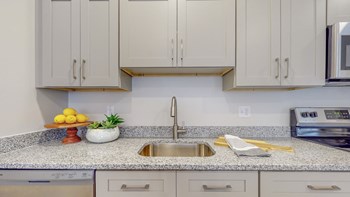 State and Clinton Model Apartment State and Clinton Model Apartment - Photo Gallery 5