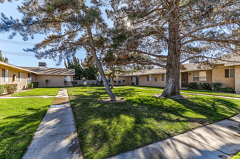 a yard with trees and a sidewalk in front of a house