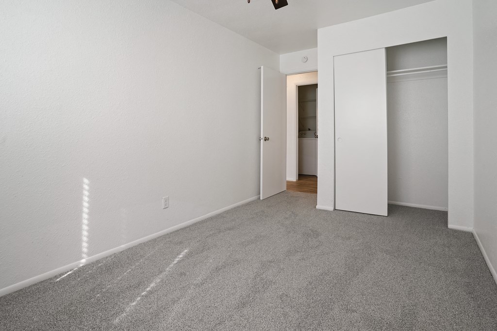 an empty room with carpet and a door to a closet